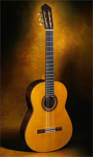 VINTAGE GUITAR