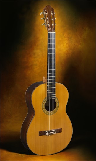 1966 Ignacio Fleta e hijos guitar
