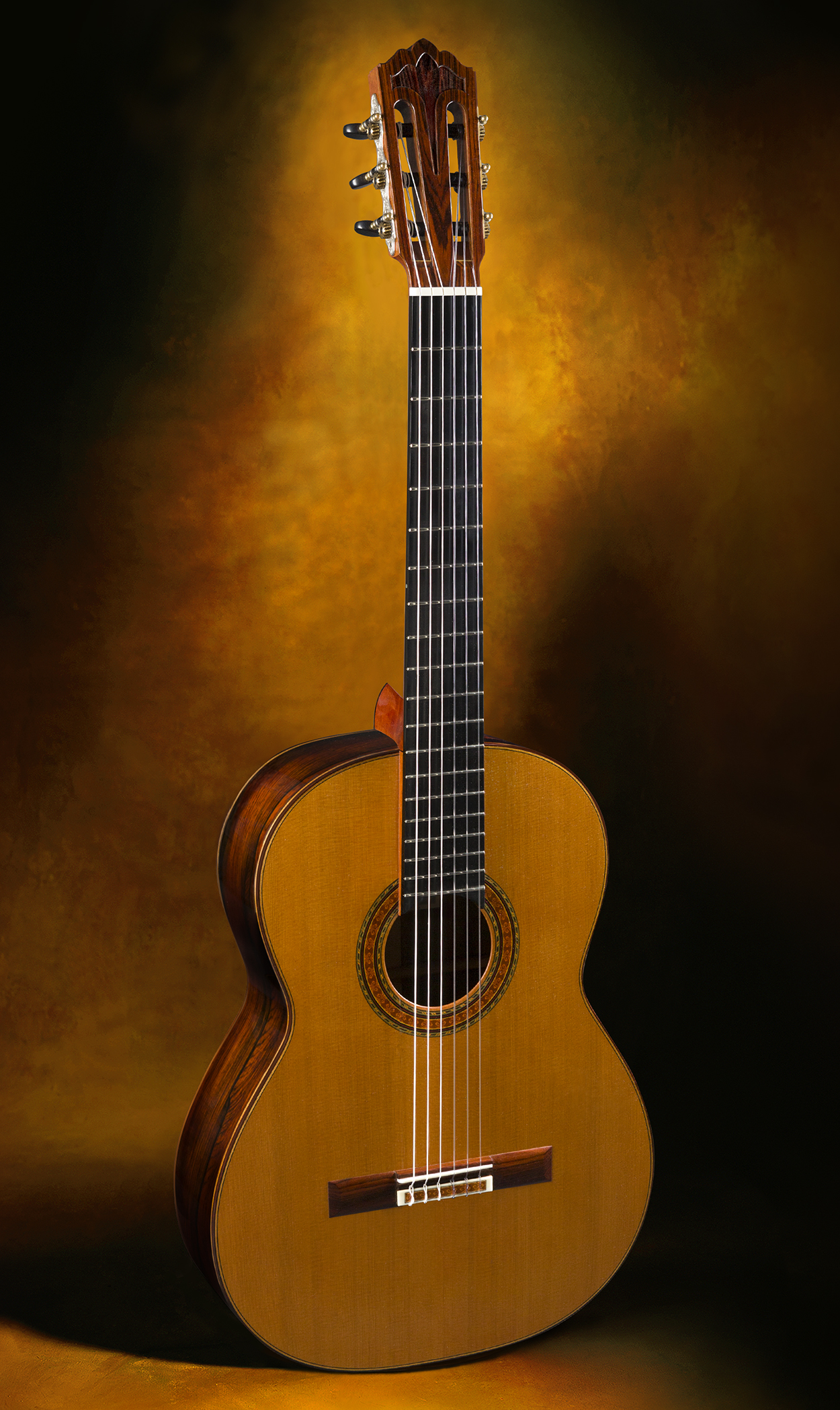 Robert ruck guitar for sale hotsell